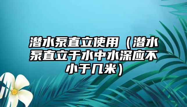 潛水泵直立使用（潛水泵直立于水中水深應不小于幾米）