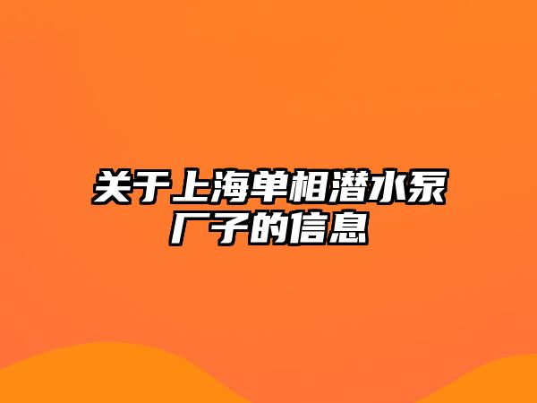 關(guān)于上海單相潛水泵廠子的信息