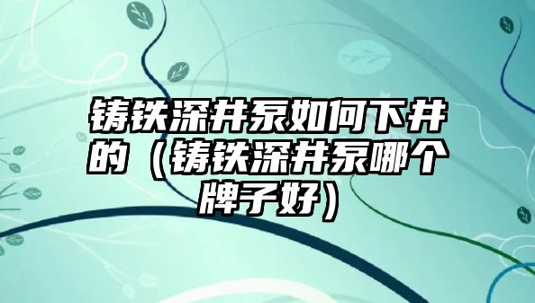 鑄鐵深井泵如何下井的（鑄鐵深井泵哪個牌子好）