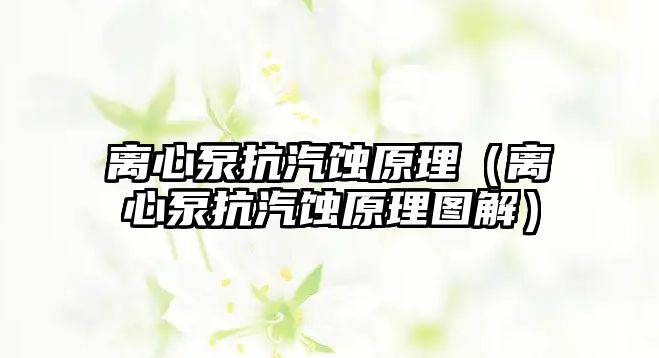 離心泵抗汽蝕原理（離心泵抗汽蝕原理圖解）